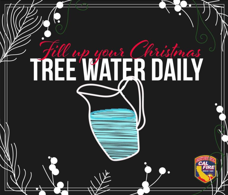 Water Your Christmas Tree Sherwood Firewise